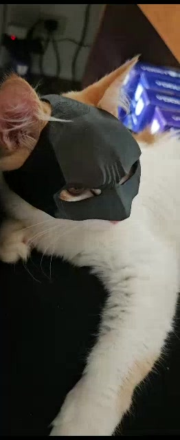 Máscara de Batman para gatos - Trend TikTok Pet - Capitão America - Demolidor