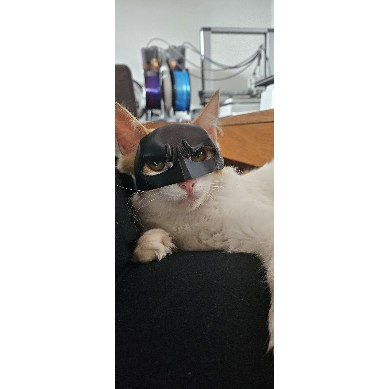 Máscara de Batman para gatos - Trend TikTok Pet - Capitão America - Demolidor