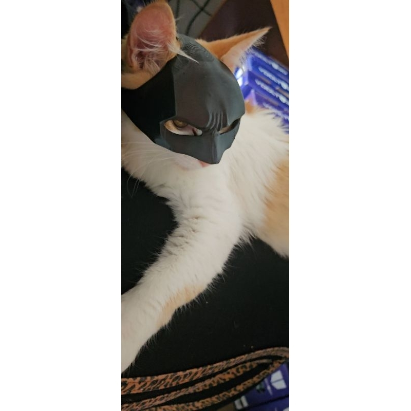 Máscara de Batman para gatos - Trend TikTok Pet - Capitão America - Demolidor
